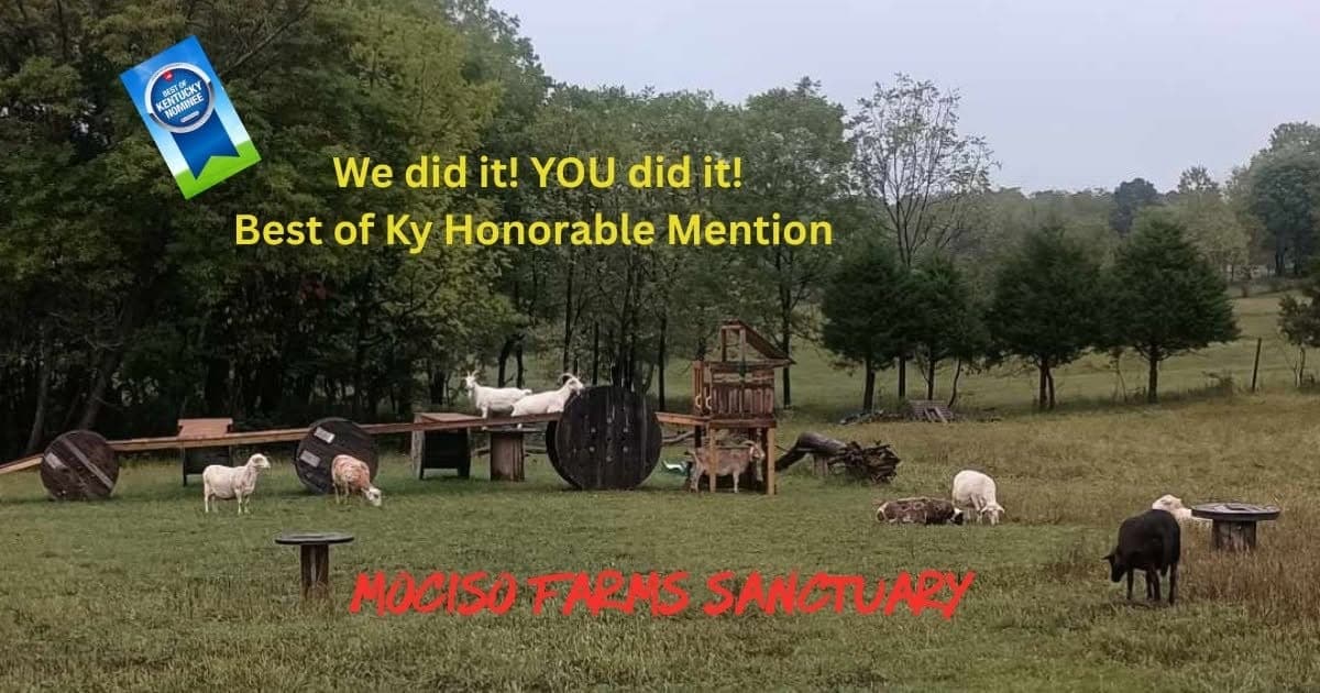 SAVE HERITAGE BREEDS POULTRY/MOCISO FARMS RESCUE cover photo