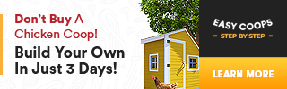 Easy Coops: don't buy a chicken coop, build your own in just 3 days