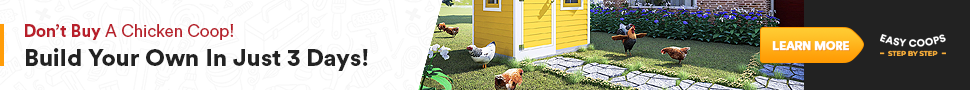 Easy Coops: don't buy a chicken coop, build your own in just 3 days