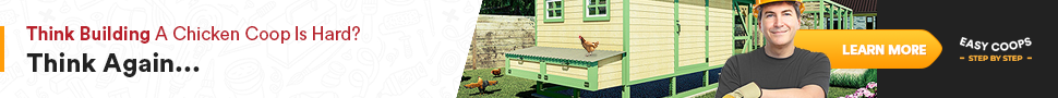Easy Coops: think building a chicken coop is hard? Think again