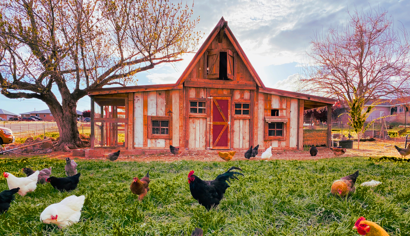 NPIP (National Poultry Improvement Plan) Program Logos